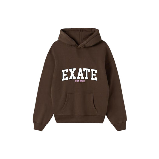 UNIVERSITY CHOCOLATE HOODIE